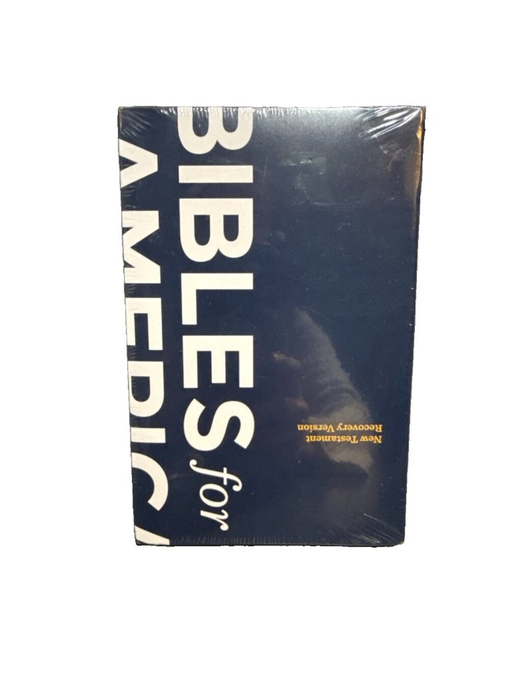 New Testament Recovery Version Bible 2021 Bibles For America